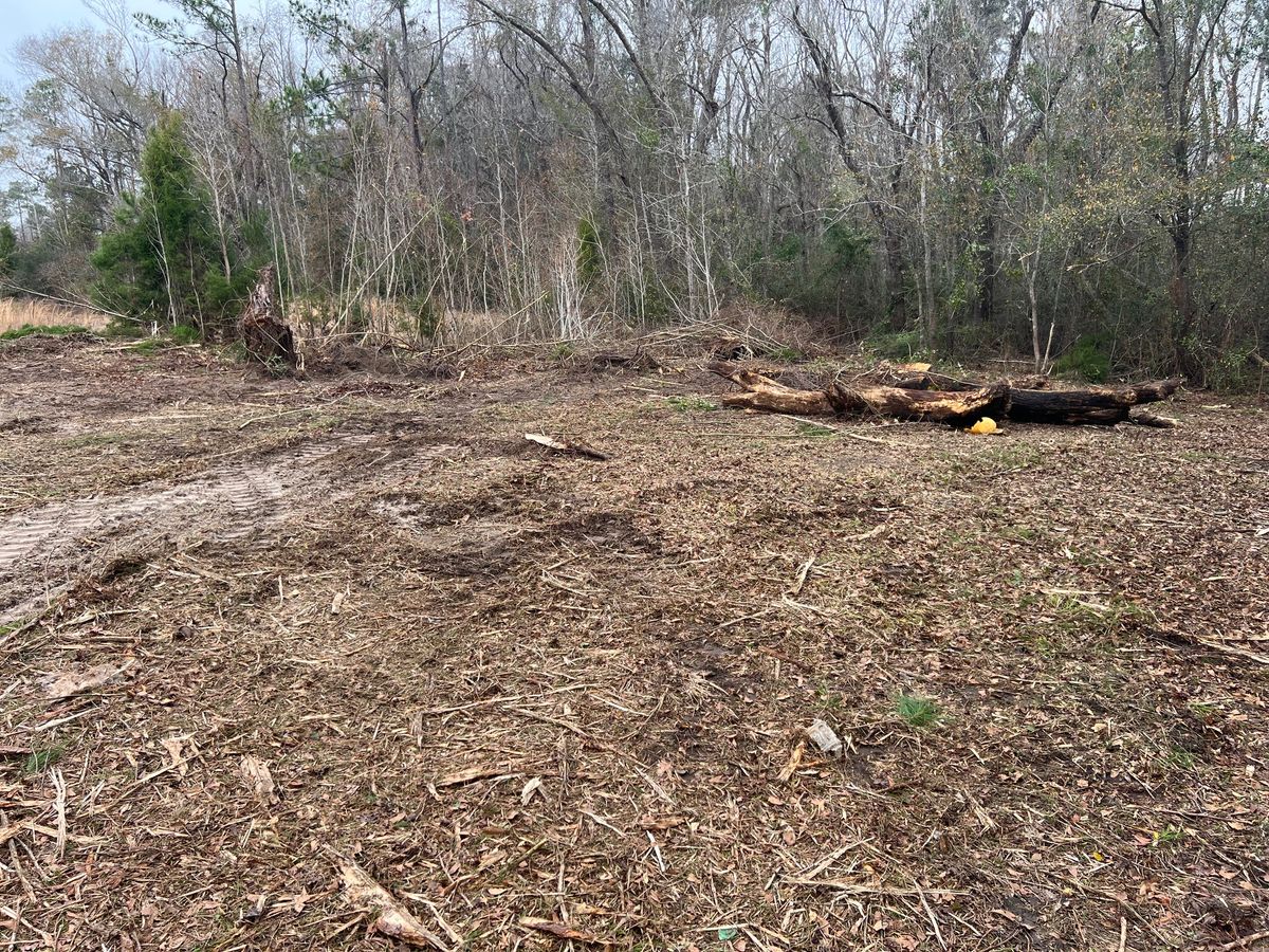 Land Clearing for Between The Hedges Landscape & Trucking LLC in Altha, FL