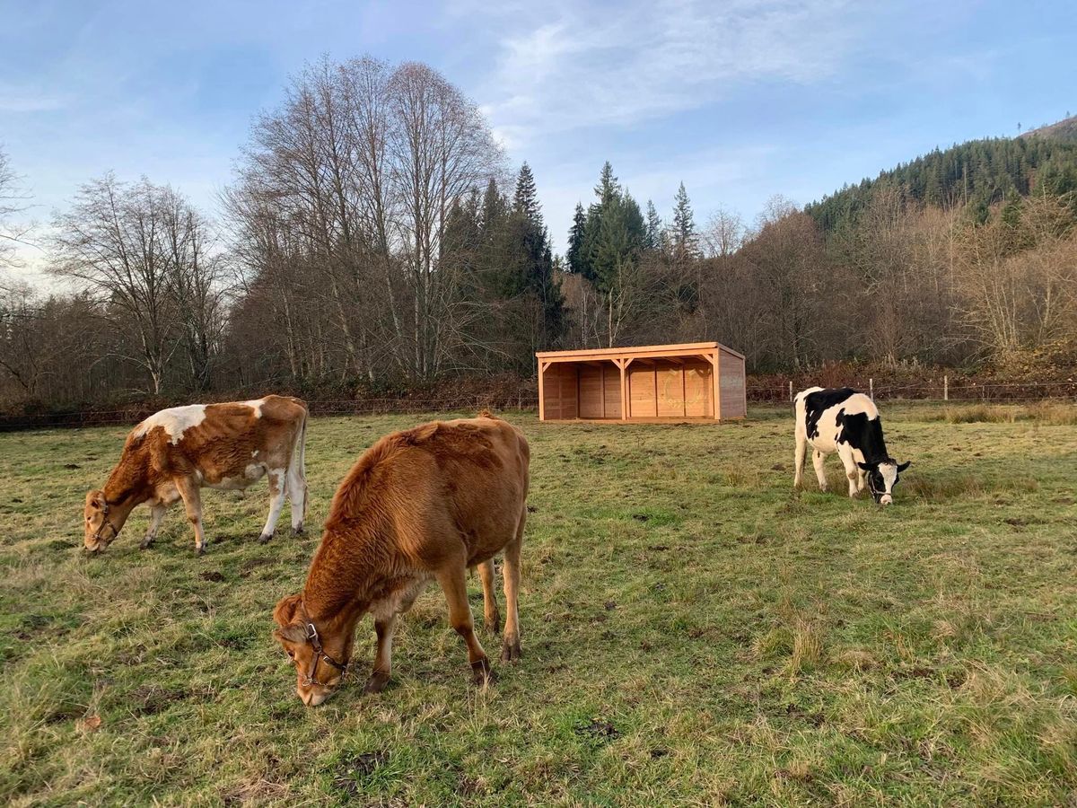 Shelters for Oats Equestrian Fencing LLC in Arlington, WA