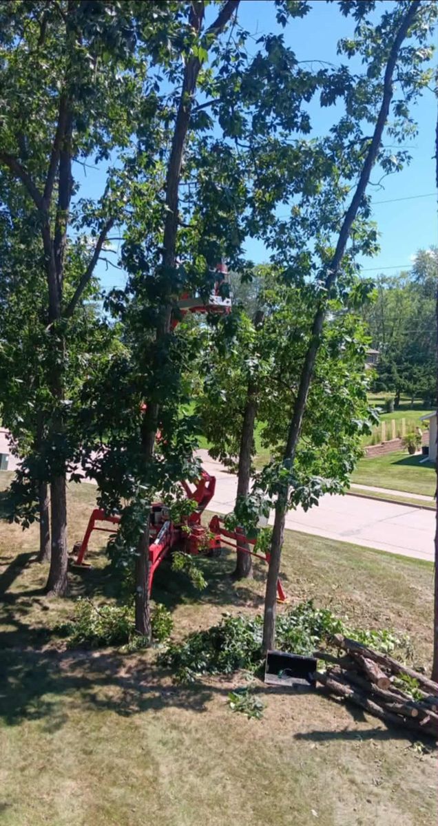 Tree Removal for Lawn Ranger Yard And Tree Service LLC in Ottumwa, IA