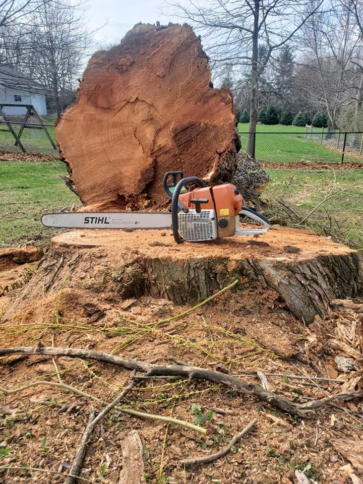 Stump Removal for Equality Contracting And Tree in Kountze, TX