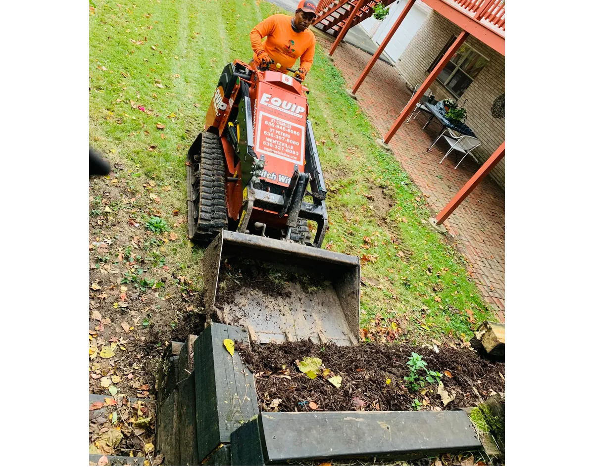 Brush and shrub removal  for Jackson Lawn Services LLC in Florissant, MO