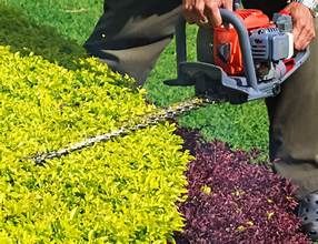 Tree Work for M&M Lawn Care in Sterling, VA