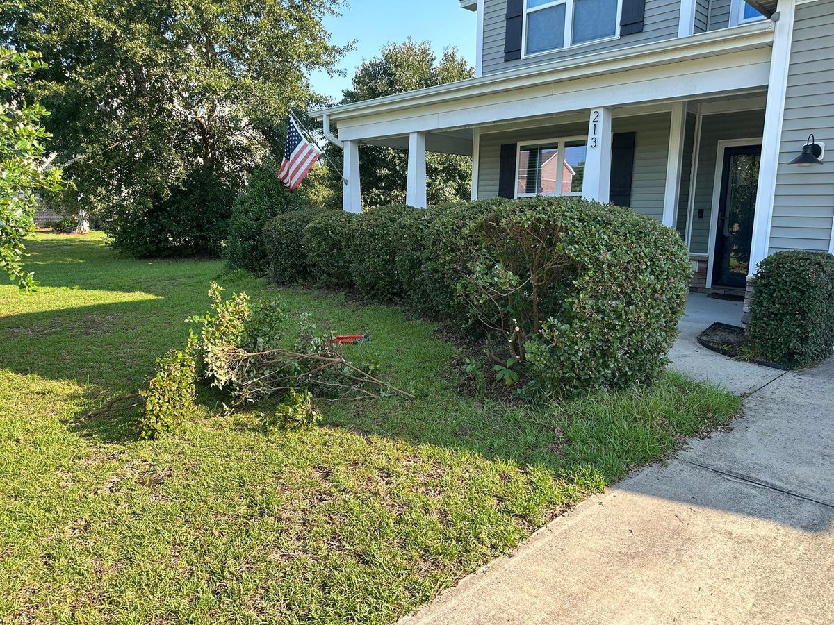 Maintenance for Nature Tones Landscaping & Hardscaping in Hampstead, NC