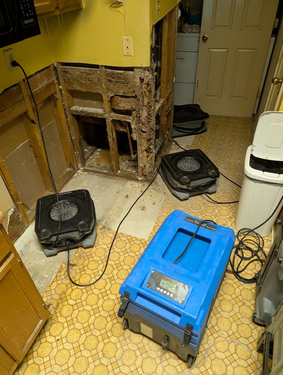 Storm Restoration for Best Option Restoration of Denton in Denton, TX