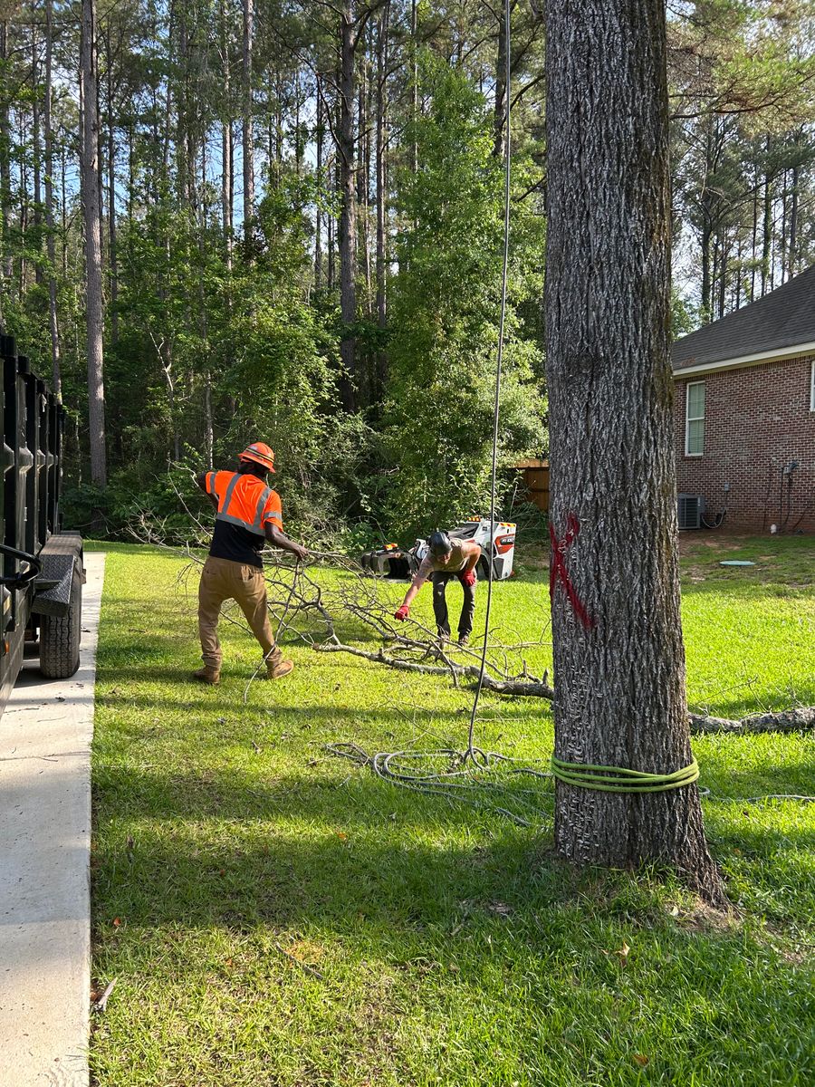 Tree Services for Broadway & McMullen Construction in Hattiesburg, MS