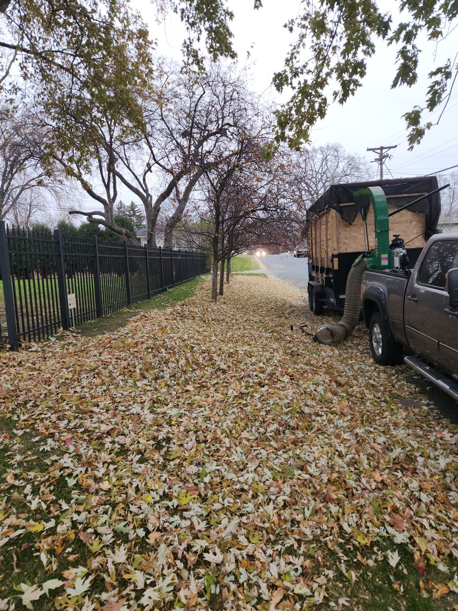 Fall and Spring Clean Up for K & I Lawn Care Service  in Eden Prarie, MN