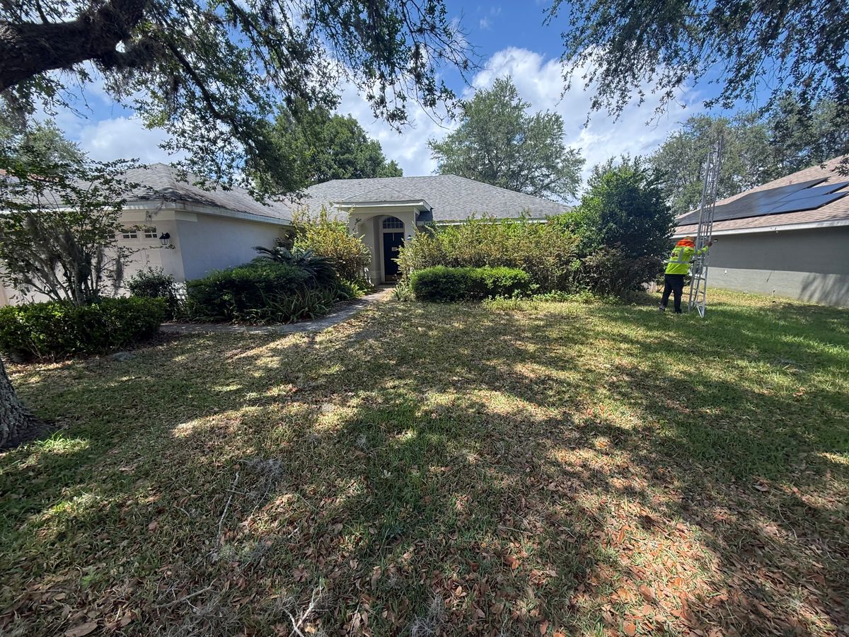 Tree Pruning for Amerigrown Tree And Lawn in Apopka, FL