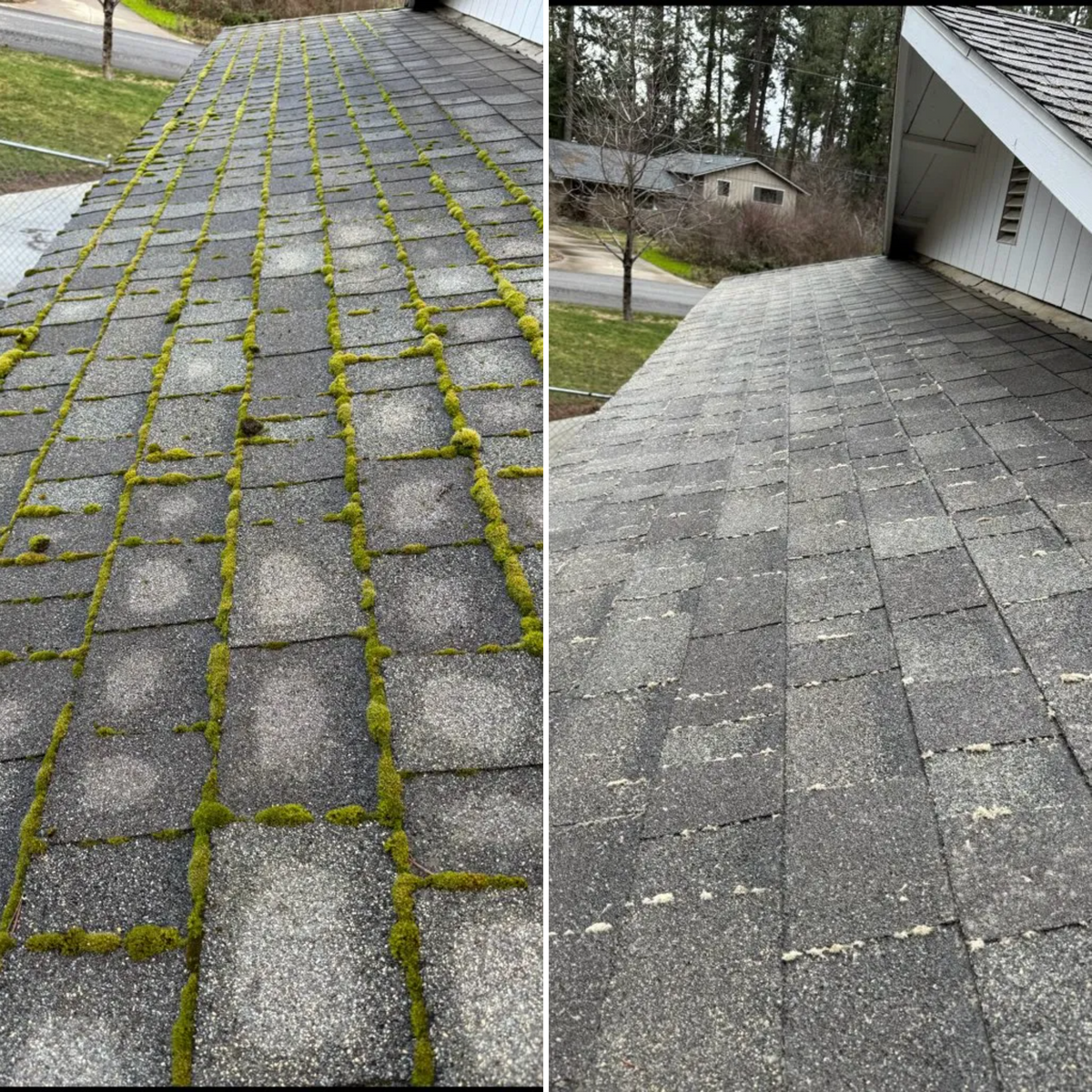 Moss Removal for Pressure Perfect in Salem, OR