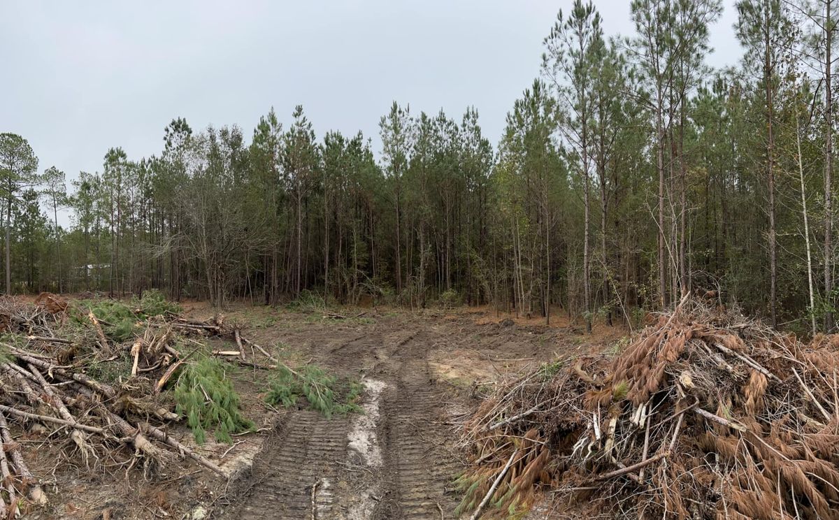 Land Grading for Davis Contracting & Site Work in Adams Run, SC