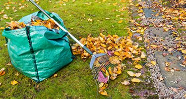 🍁 NB Fall Clean-Up Services for New Beginning Landscape & Remodel LLC in Atlanta, GA