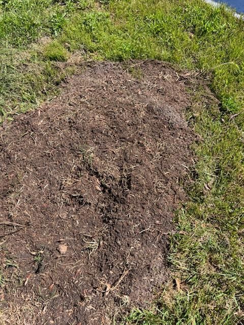 Stump Removal for KB’s Stump Removal in Pinellas county, FL