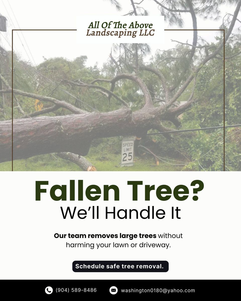 Tree Trimming & Removal for All of the Above Landscaping in Orange Park, FL