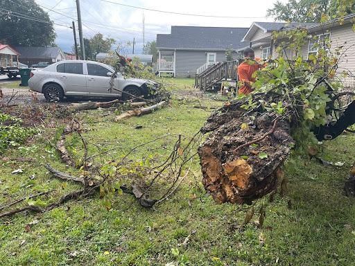 Tree Removal for Ross Family Tree Service LLC  in Hohenwald, TN