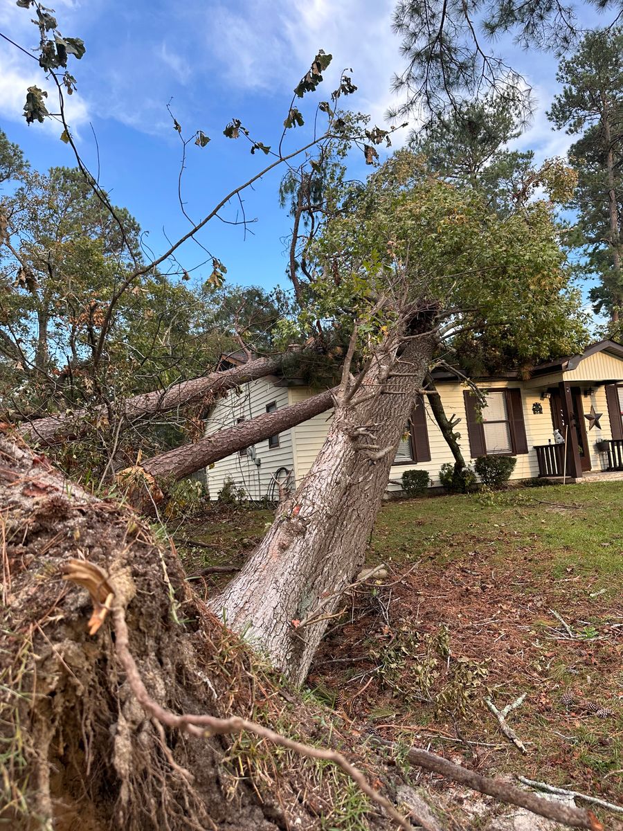 Storm work for ArborMax in Thomaston, GA