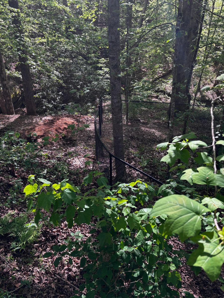 Chainlink Fences for Alpine Fence in Dahlonega, GA