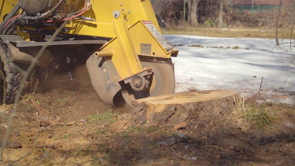 Stump Grinding for Blu-J Tree Care in Arlington, TX