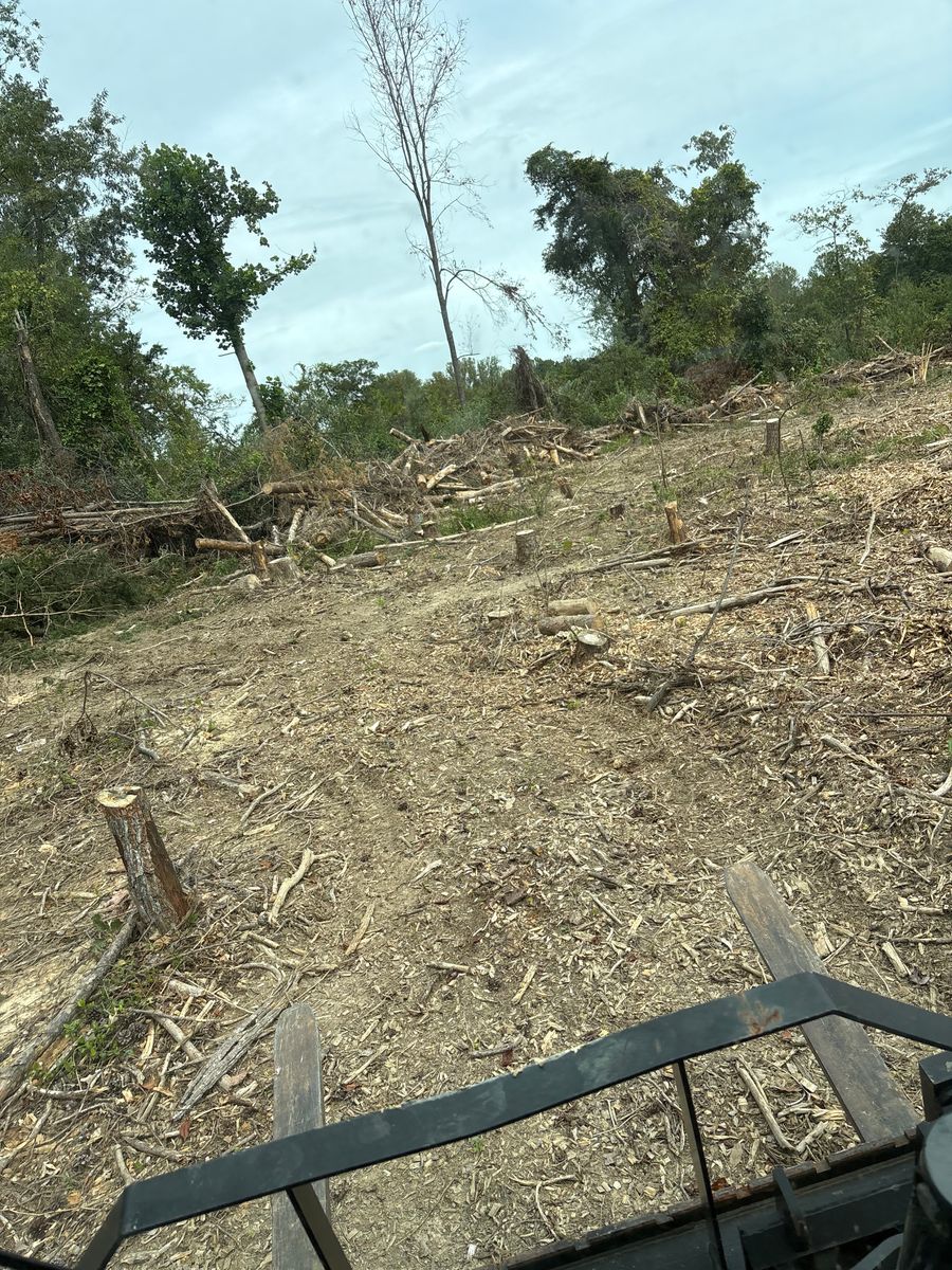 Land Clearing for Mountainside Property Services LLC in Warrenton, VA