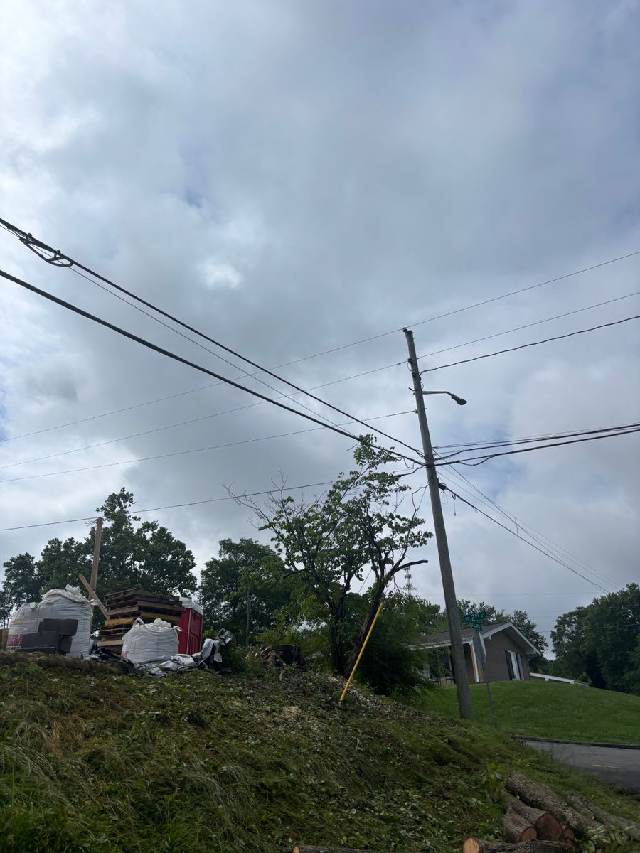 Tree Removal for SEALY TREE and LAWN in Cleveland, TN