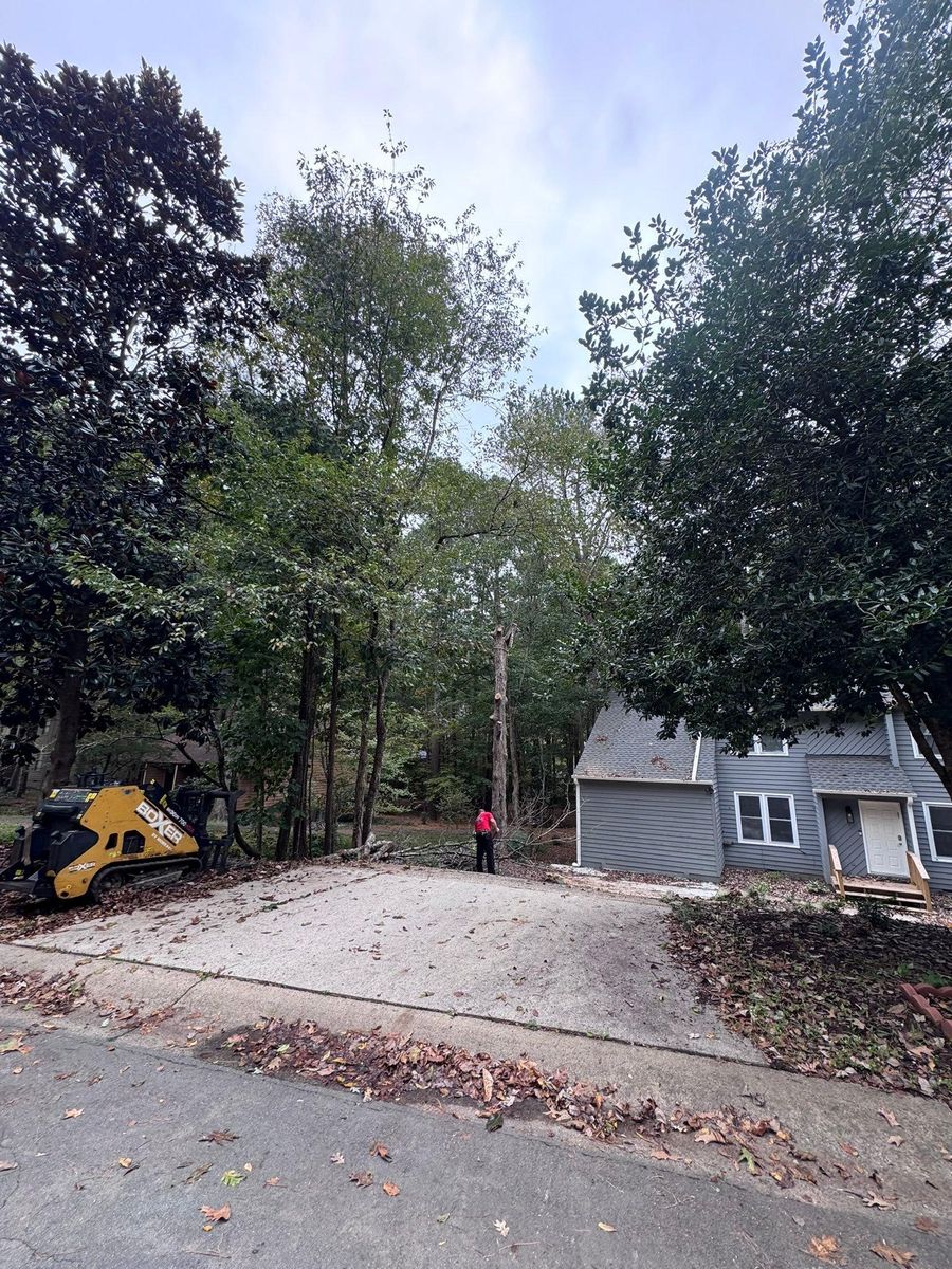 Fall/Spring Clean Up for Diversified Tree Company in Trinity, NC