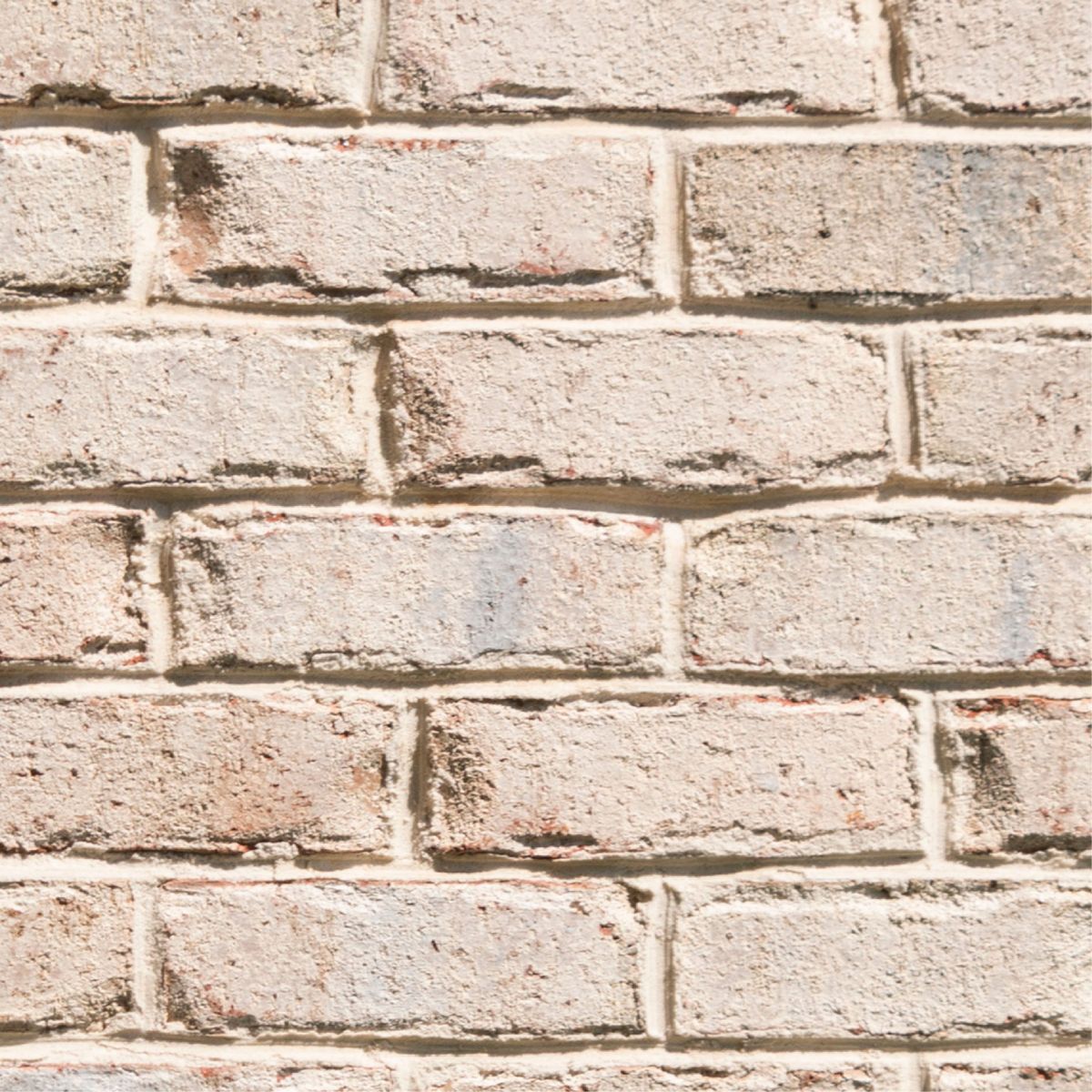 Beautiful Brick for Bianchi Business Development in Southport, NC