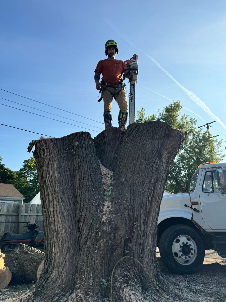 Tree Removal for The Bucking Arborists in Flint, MI