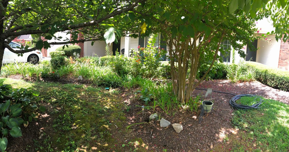 Fall Clean Up for Bellevue Lawn and Landscaping in Bellevue,  TN