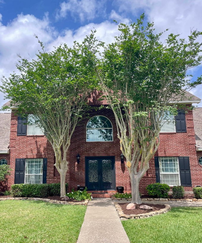 Tree Services for Full Armor Landscapes in League City, TX