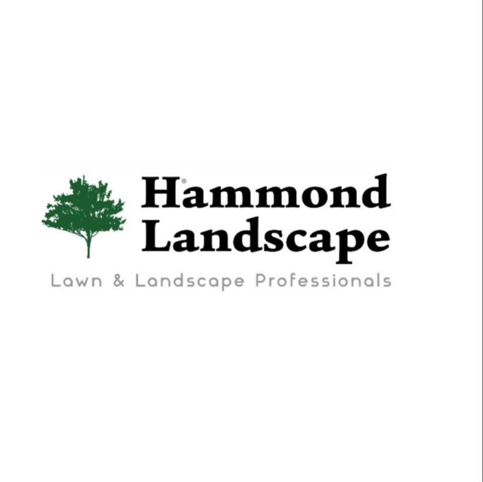 Lawn Aeration for Hammond Landscape in Okemos, MI