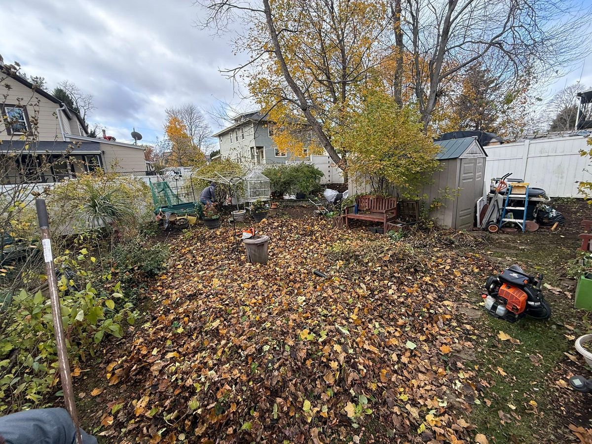 Fall & Spring Maintenance for Ardisi Property Maintenance LLC in Poughkeepsie, NY 