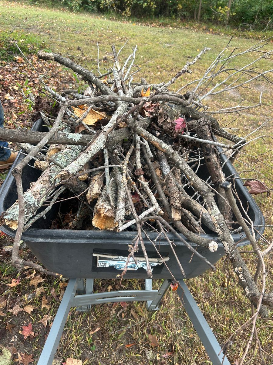 Leaf Removal  for The Whole 9 Yards Landscape VA in Heathsville, VA