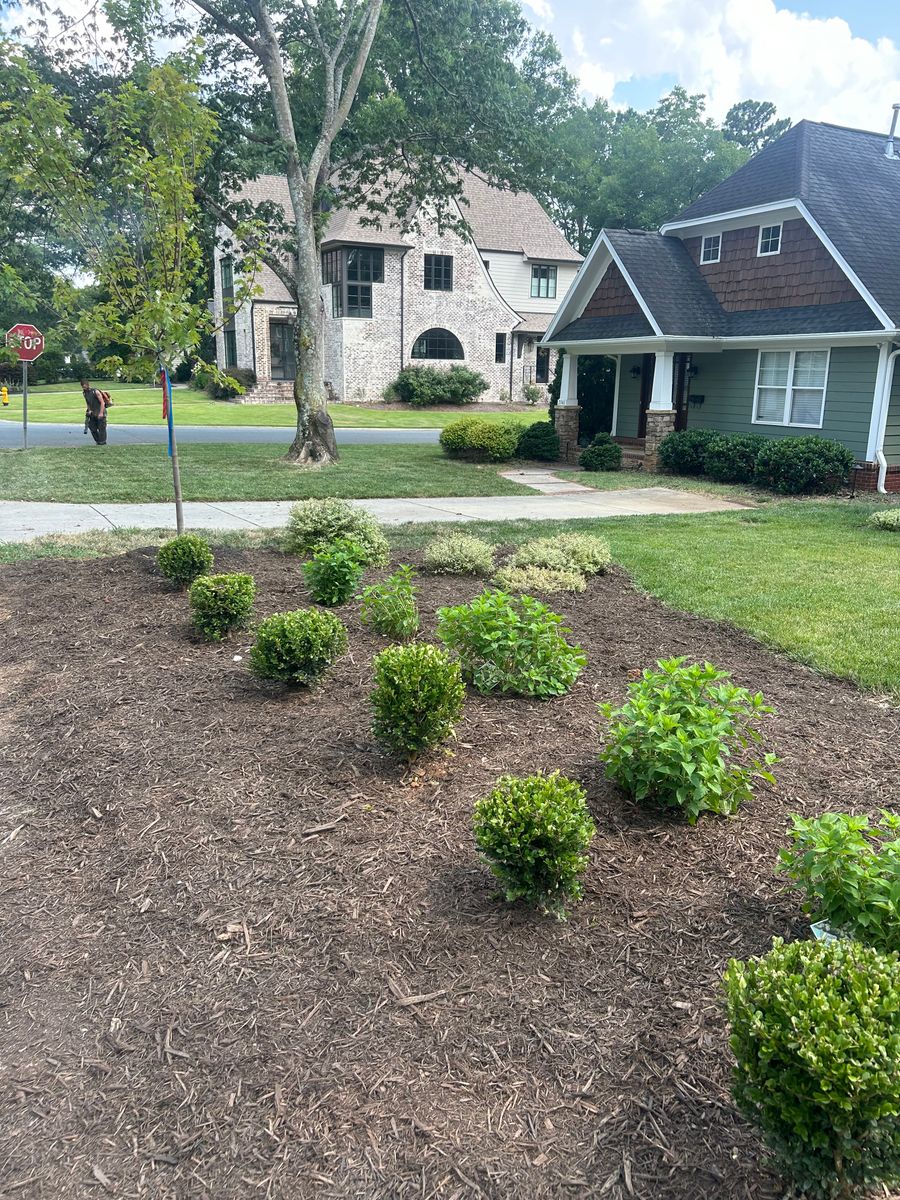 Landscaping for Oakhurst Landscaping and Tree Service in Charlotte, NC