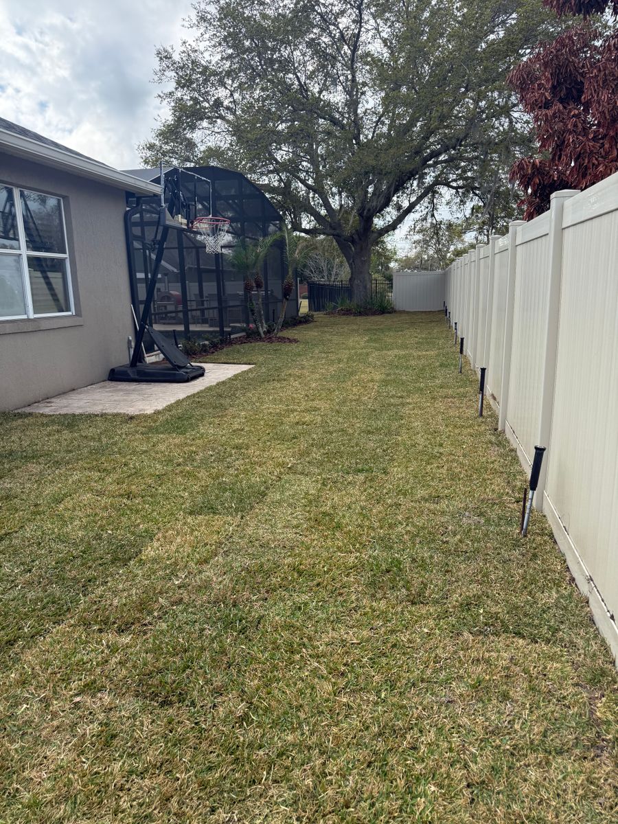 Landscape Installation for Amerigrown Tree And Lawn in Apopka, FL