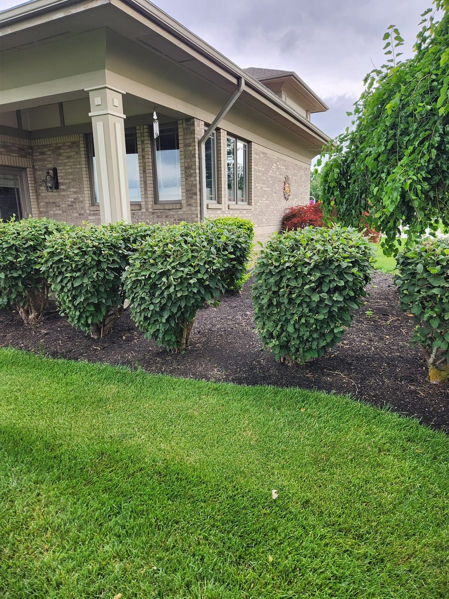 Shrub Trimming for Tel Ma Landscaping Maintenance LLC  in Urbana, OH