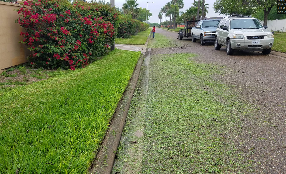 Lawn Maintenance for Pro Lawn Care RGV in McAllen, TX