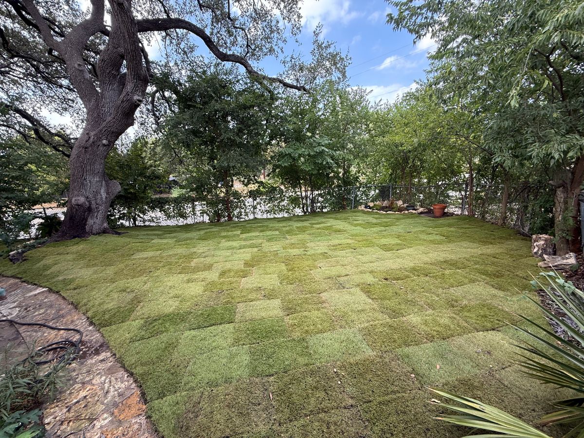 Sod Installation for Platinum K Landscaping in San Antonio, TX