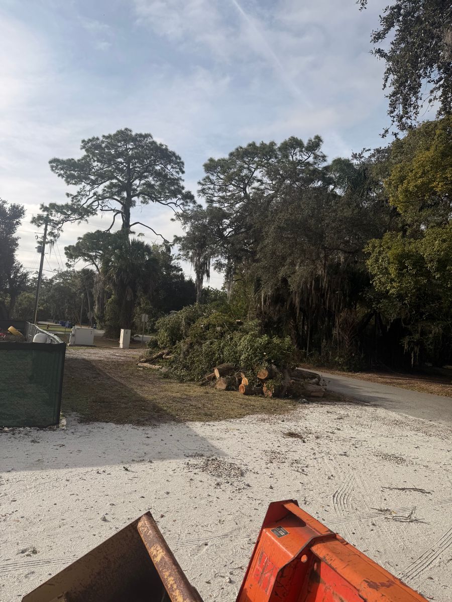 Land Clearing for Amerigrown Tree And Lawn in Apopka, FL