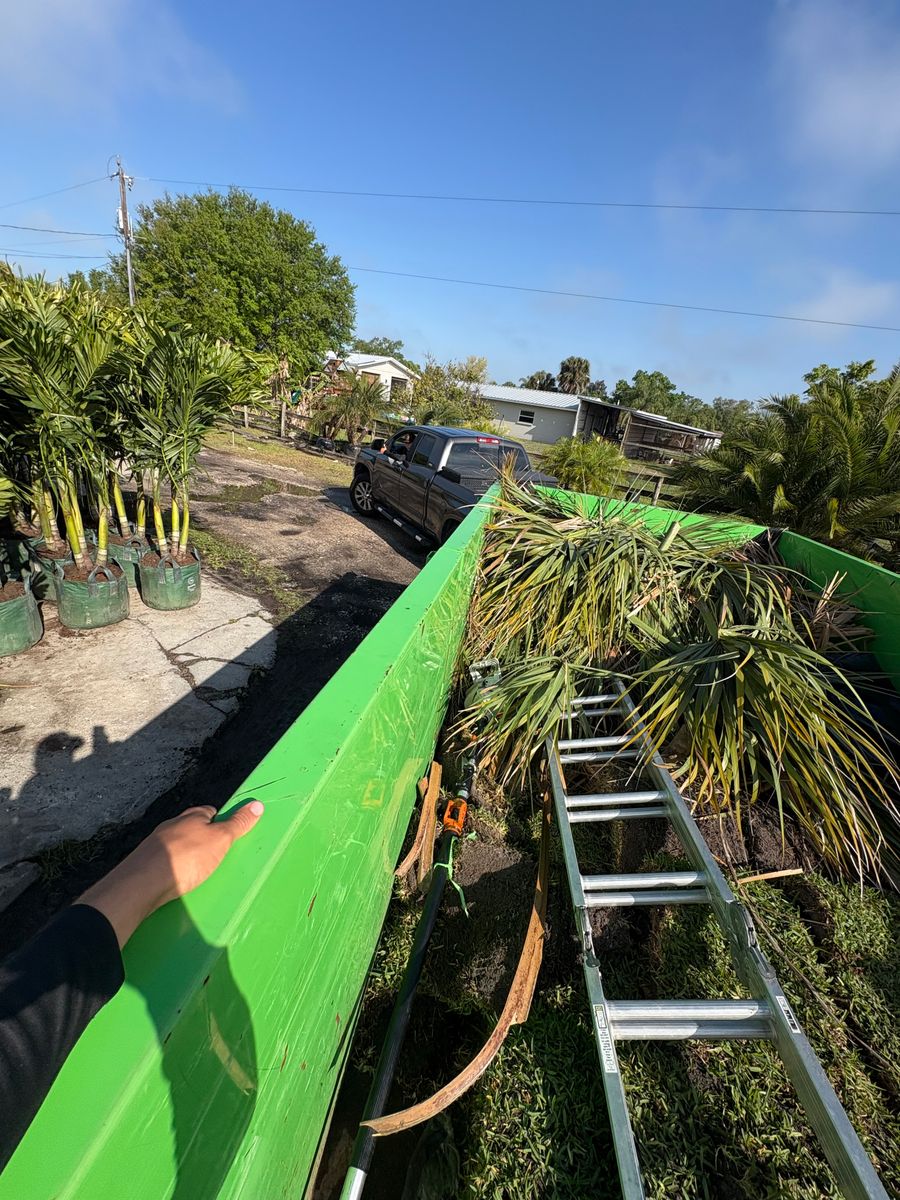 Seasonal Yard Cleanup for R&R GreenWorks in North Port, FL