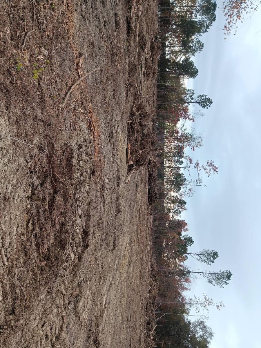 Land clearing and site preparation for Forrest Plumbing and Septic Service LLC in Summerville, GA