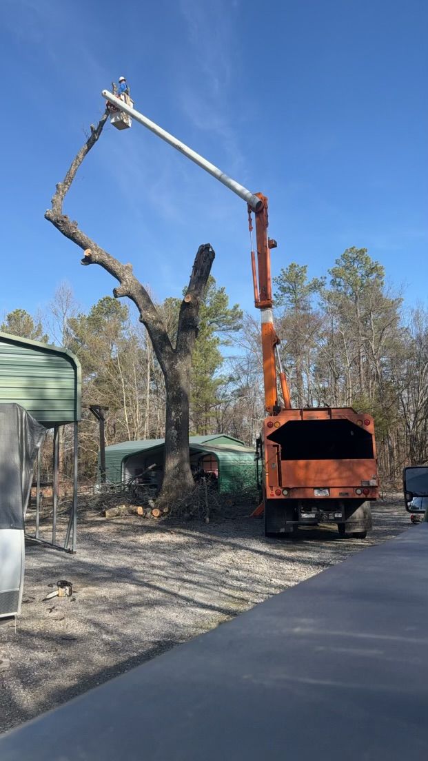 Tree Trimming for Curtis Tree Service LLC in Hopkins County, KY