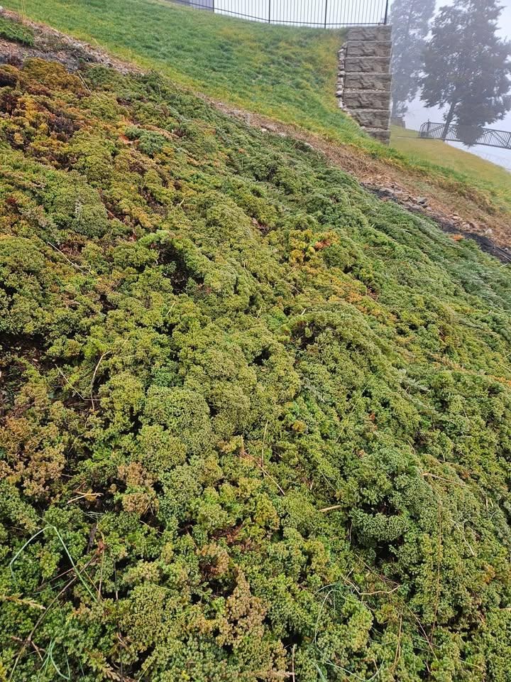 Land Grading for S&M DIRT TECH LLC in Knoxville, TN