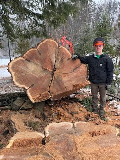 Stump Removal for Clifford’s Quality Tree Care & Landscaping in Enfield, NH