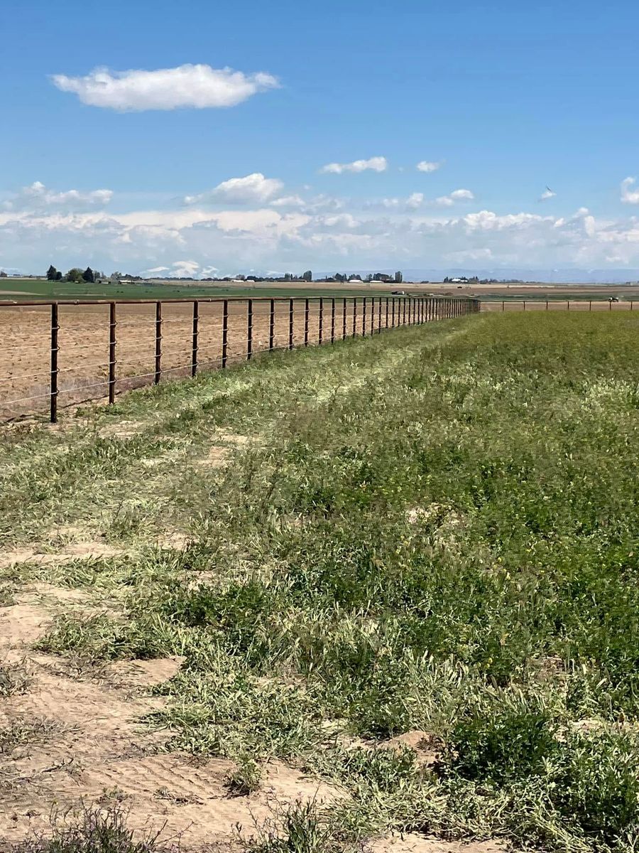 Agricultural Fencing for TK Welding Services in Castleford, ID