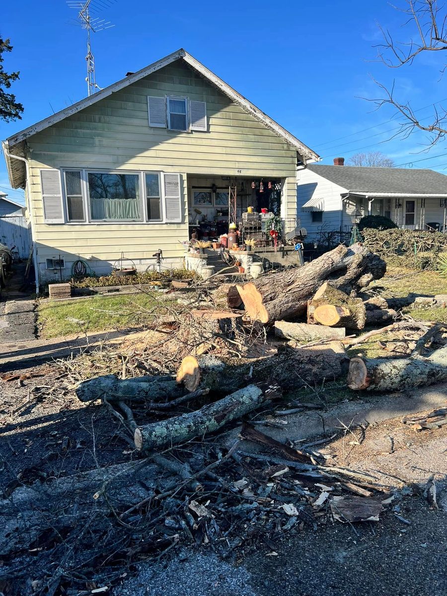 Fall Clean Up for Kadin’s Tree Service in North Vernon, IN