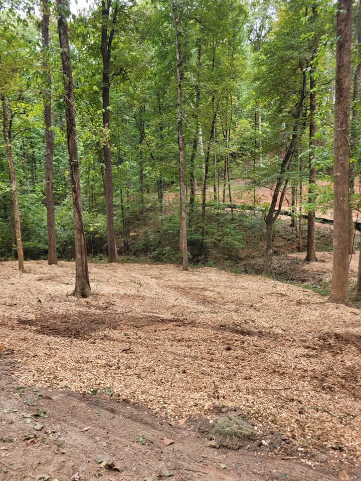 Tree Trimming & Removal for Bobcat Bob in Clermont, GA