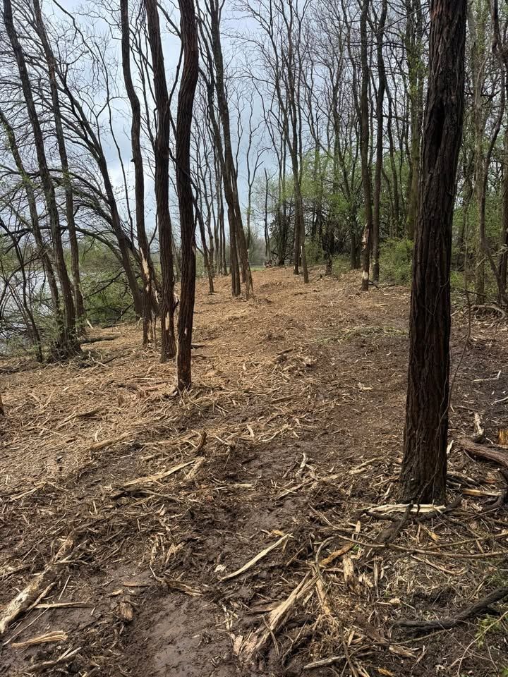 Land Clearing for Barkers Outdoor Services in Hamilton, OH
