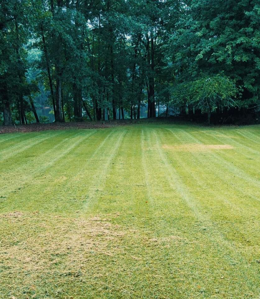 Mowing for Taylormade Lawn Management in Clarkesville, GA
