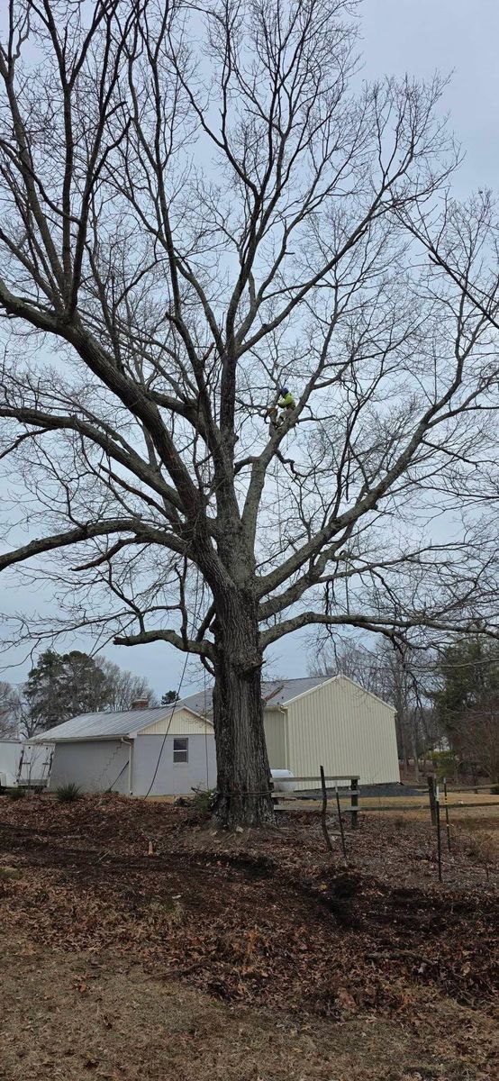 Emergency Tree Services for Hamlett Tree Service LLC in Clover, VA