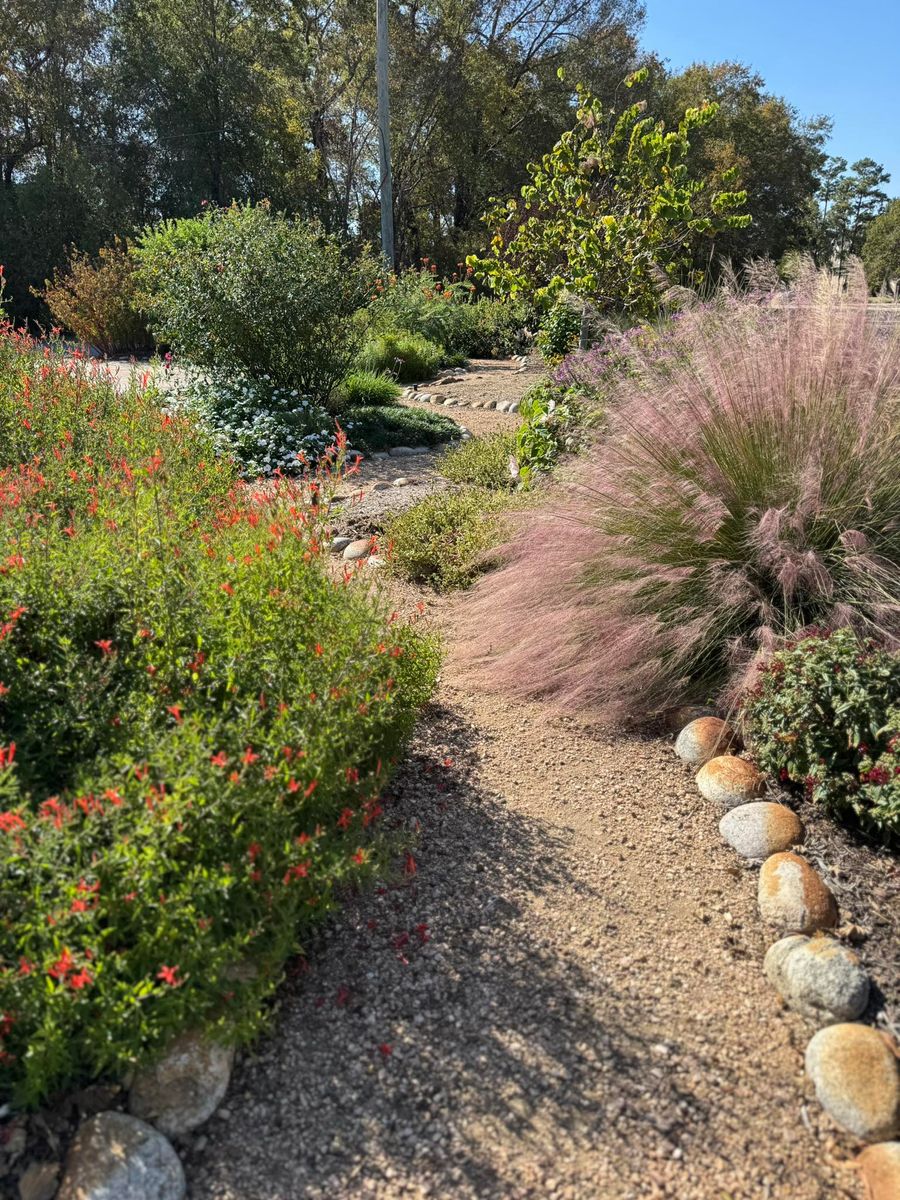 Landscaping for The Outdoor Buddies in Houston, TX
