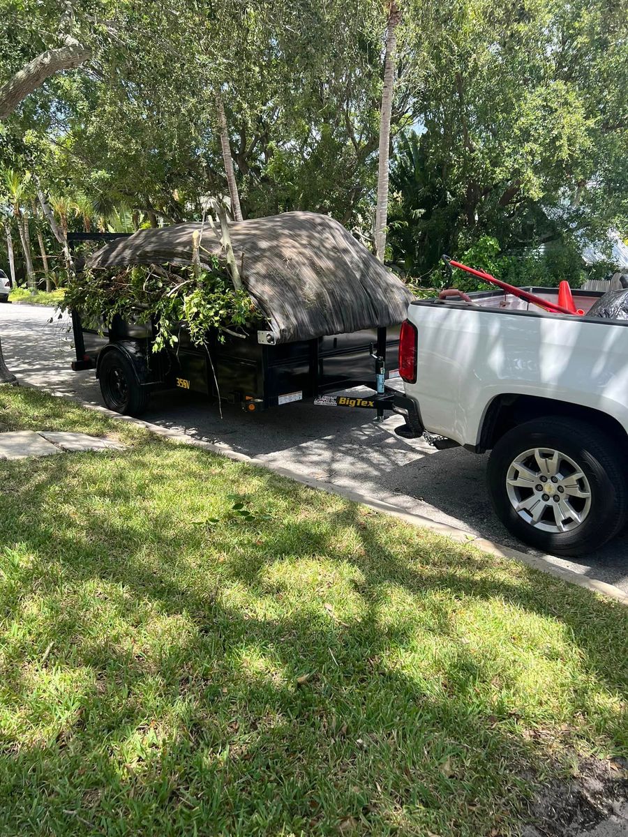 Tree Trimming and Removal for Rey Landscaping & Lawn service LLC in West Palm Beach,  FL