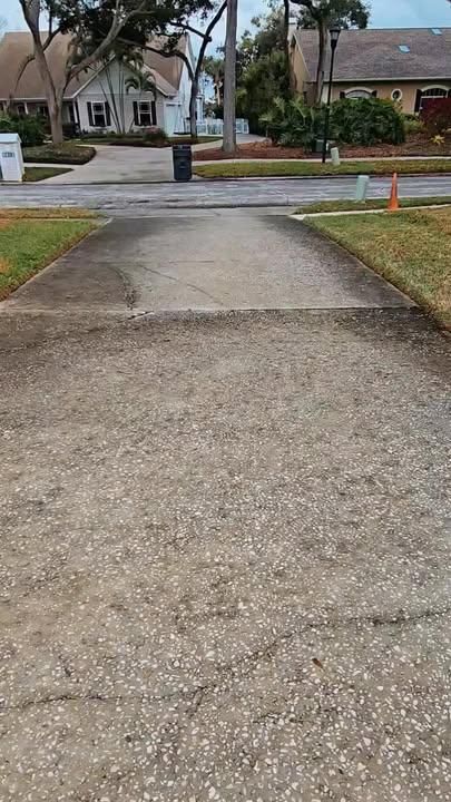 Driveway and Sidewalk Pressure Washing for Blue Stream Roof Cleaning & Pressure Washing in Tampa, FL